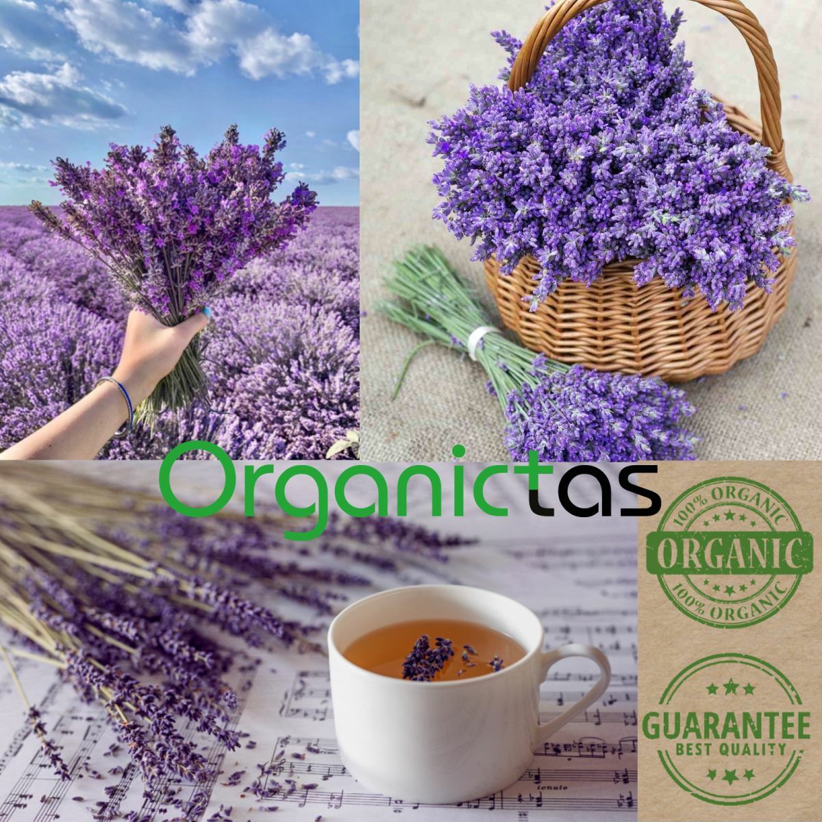 100g Organic LAVENDER FLOWER Herbal Tea Natural Scent & Aroma Premium Quality