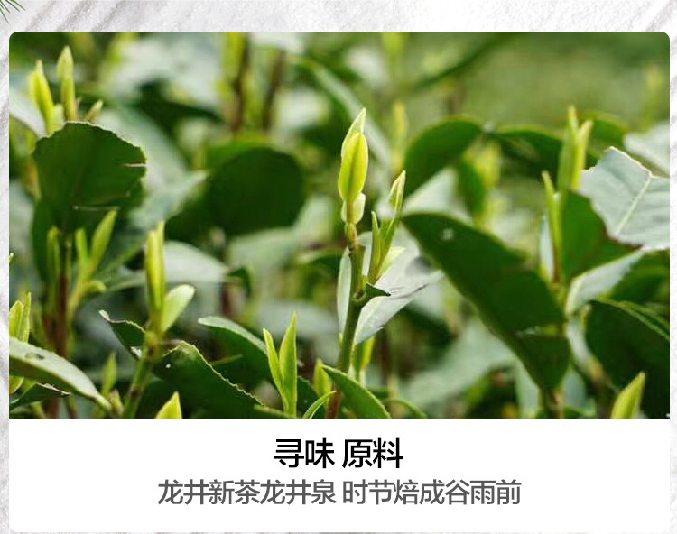 2023 Lion Peak Spring Long Jing Dragon Well Green Tea Xihu Longjing Tea 250g