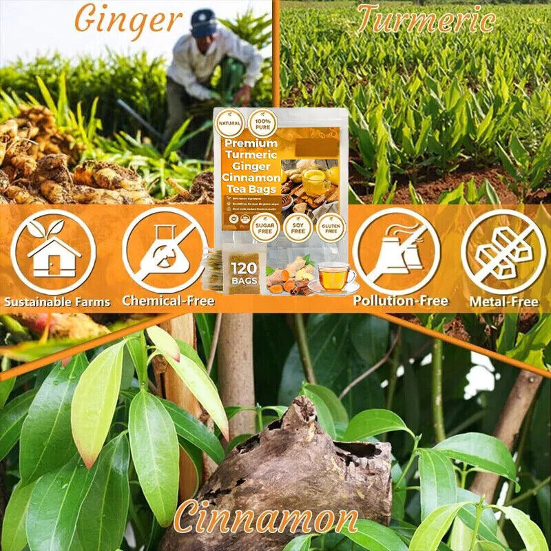 60Bags Turmeric Ginger Cinnamon Tea No Additive Support Brain Weight Sleep-Skin