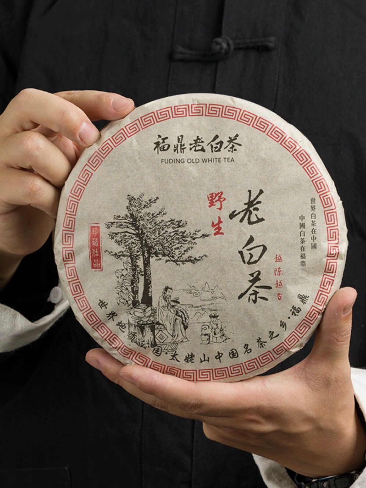 White Tea Cake LAO BAI CHA Premium Fuding Shou Mei Long Life Eyebrow 350g