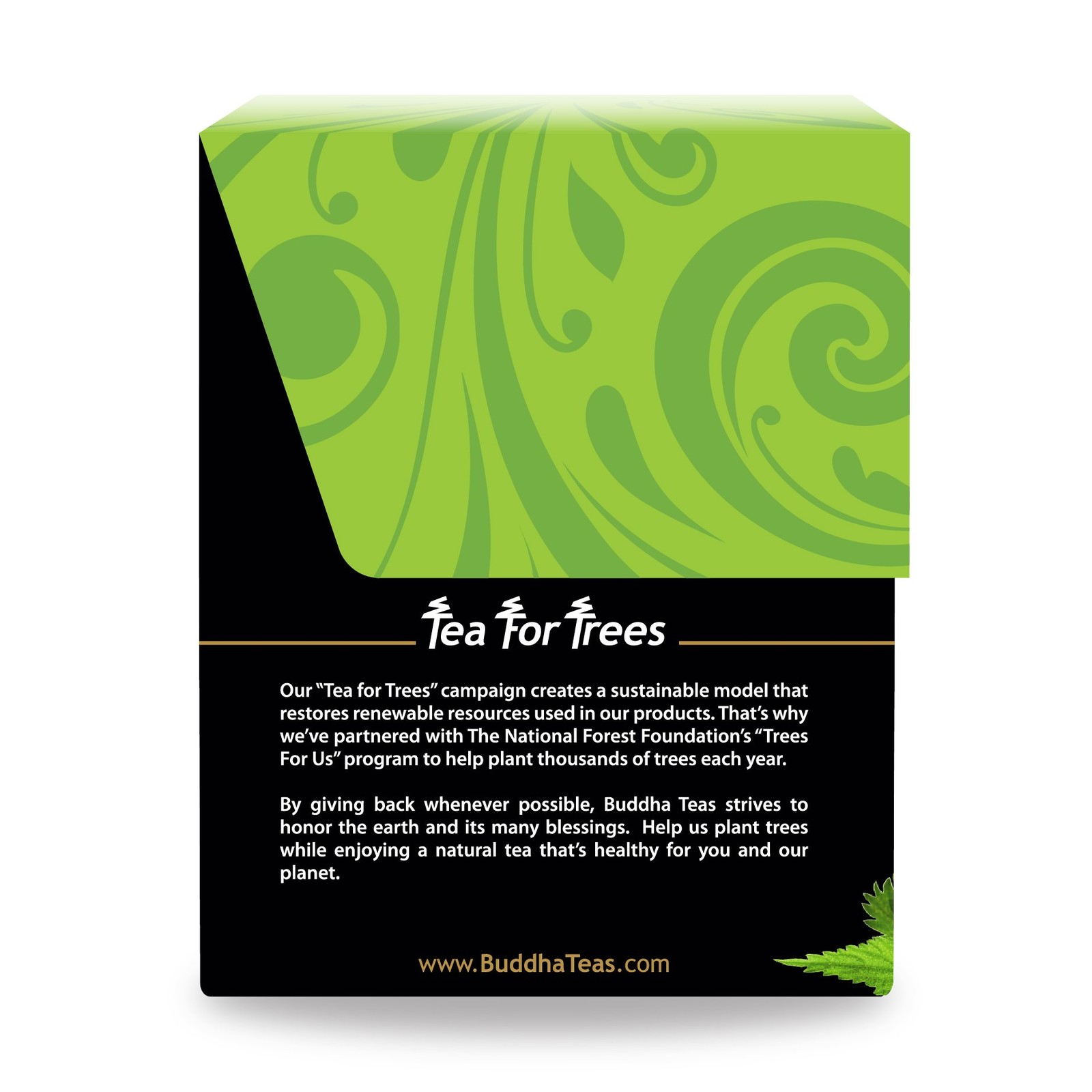 – Nettle Leaf Tea – Organic Herbal Tea – For Digestive Health – Rejuvenate & …