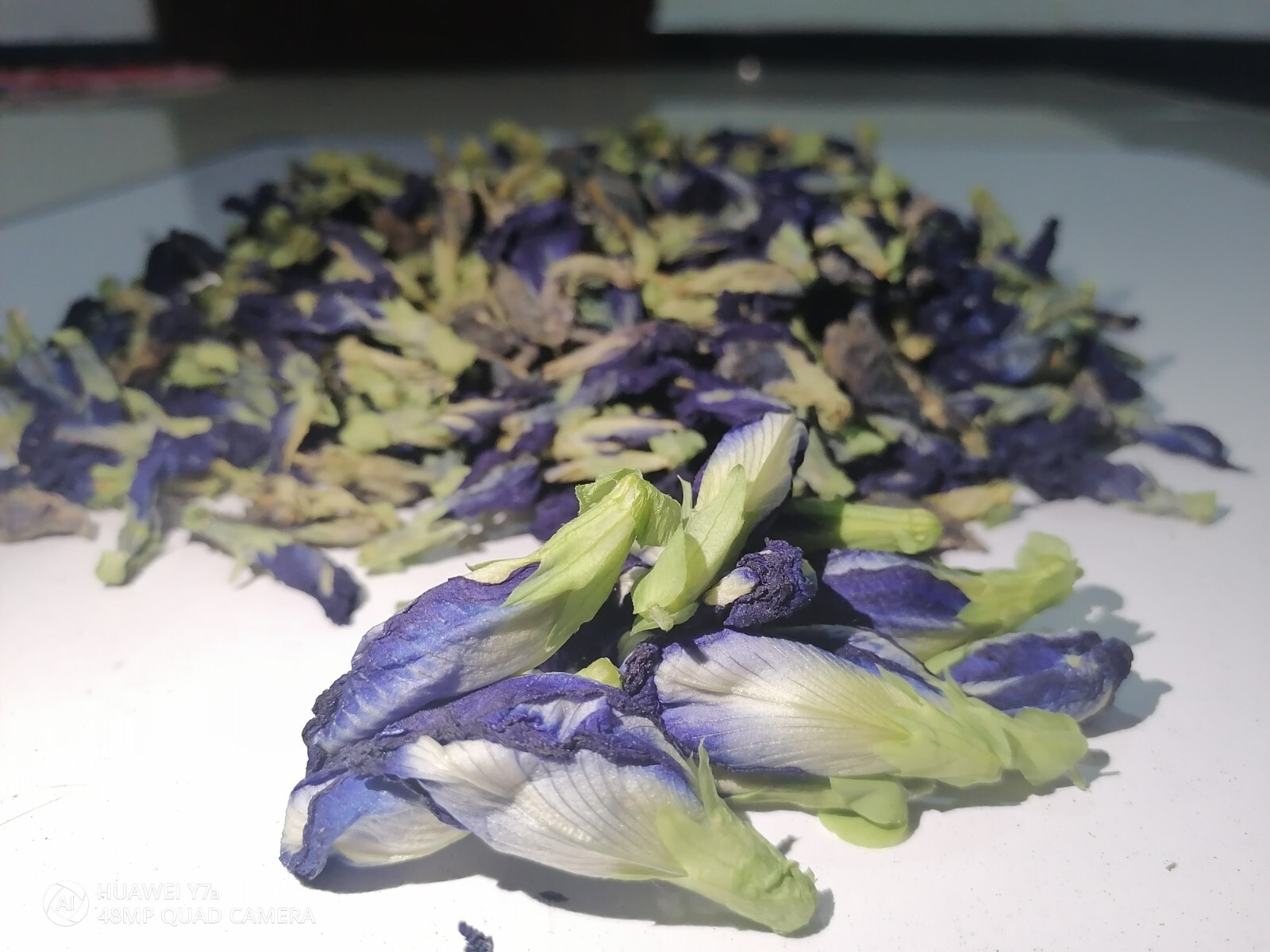 Premium Ceylon dried BUTTERFLY PER flowers Tea Ayurveda NIL KATAROLU 50pcs