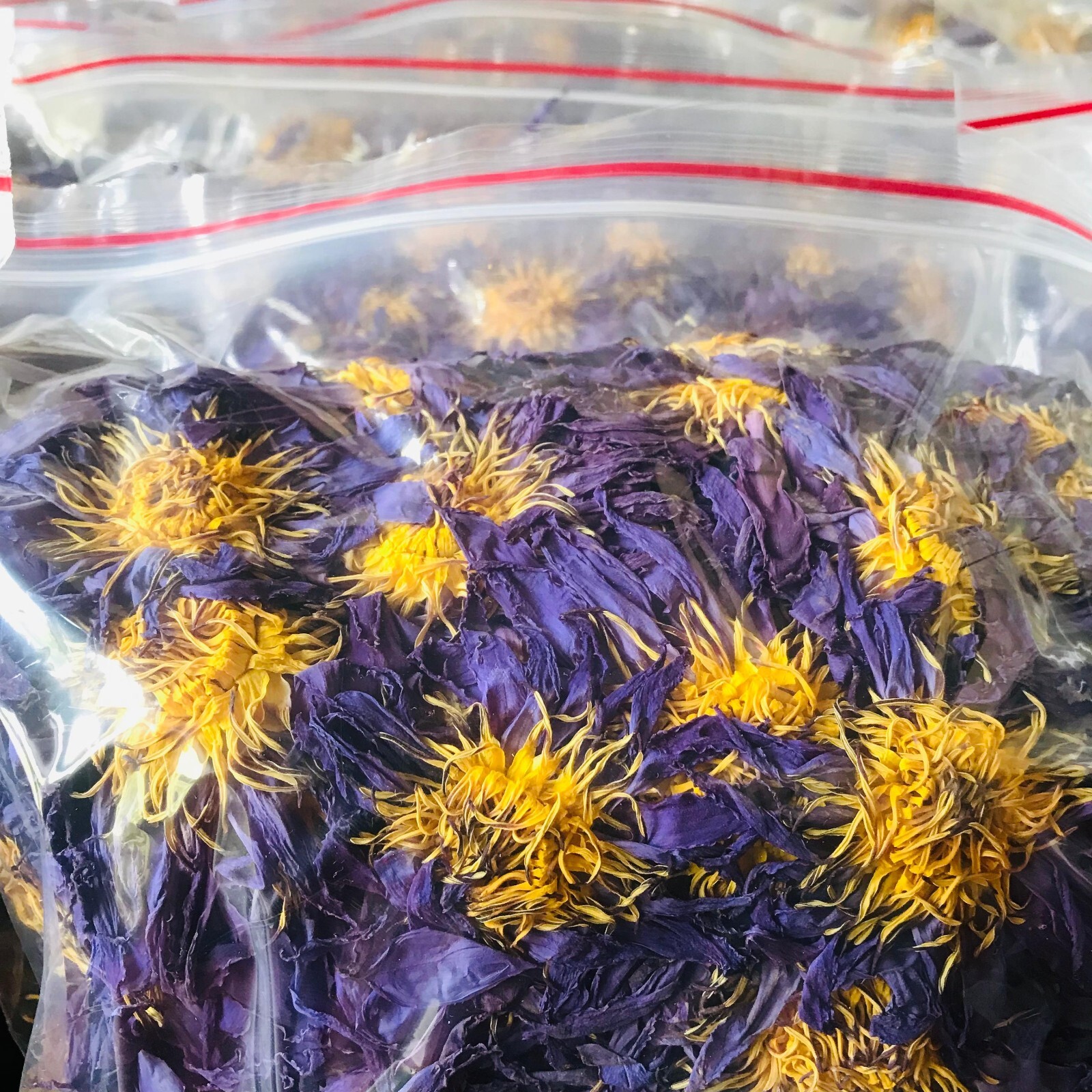 Dried Blue Lotus 100% Hand Picked Ceylon Organic Natural Flowers Egyptian Tea