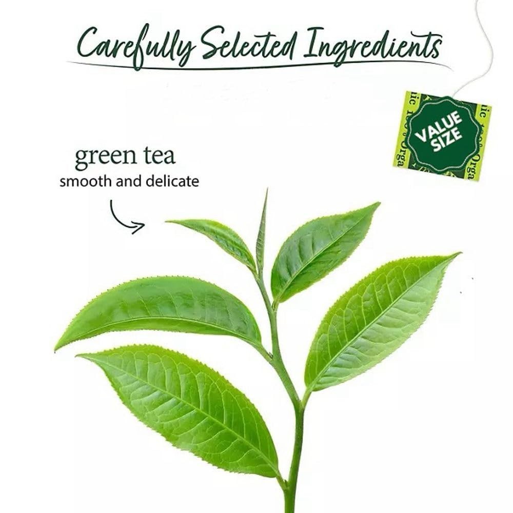 Organic Green Tea Bags – 140 Count, Premium Quality, Eco-Friendly Storage Bag
