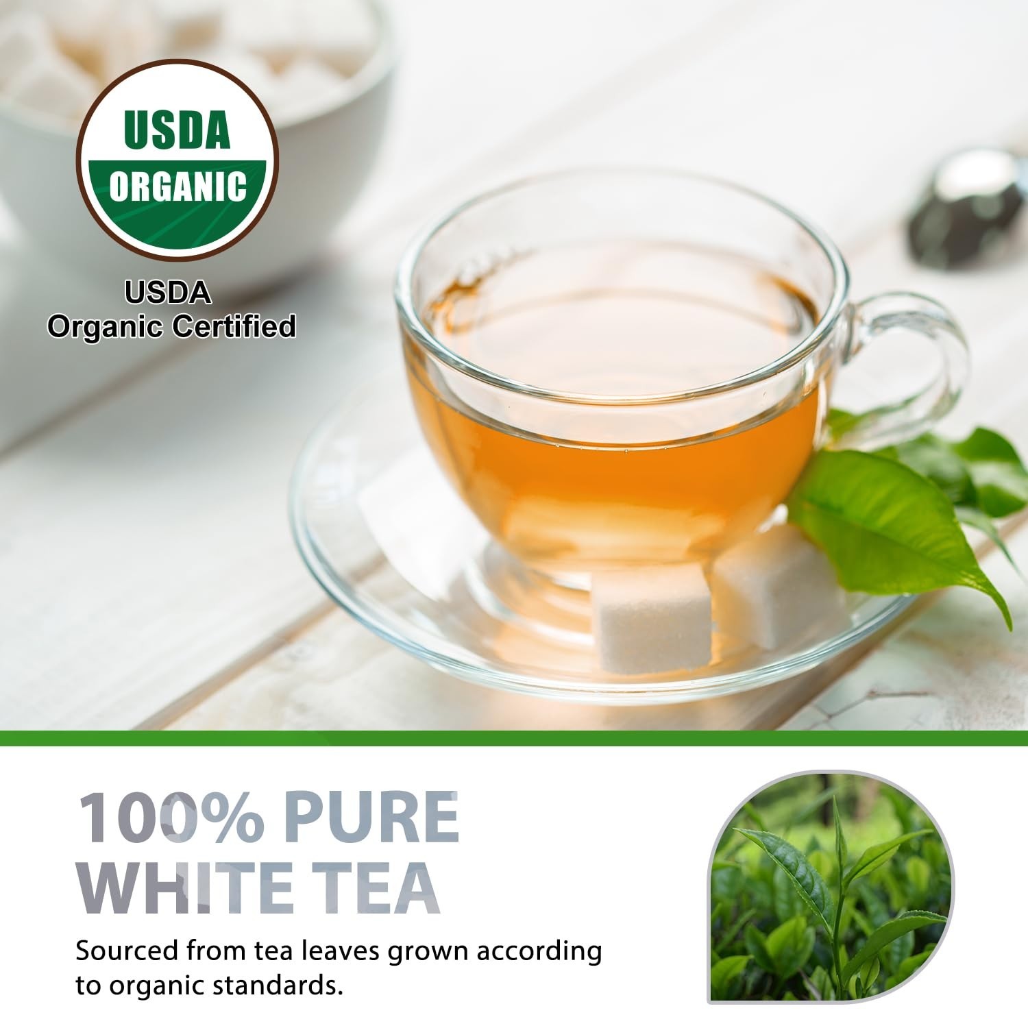 Elegant Organic White Tea – 100 Individually Wrapped Teabags, Low Caffeine