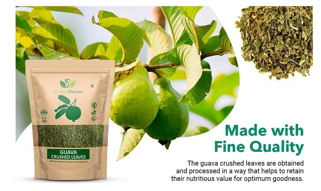 Guava Leaf Tea 8 oz | Crushed & Dried Leaves | Hair Growth, Skin & Nail Health