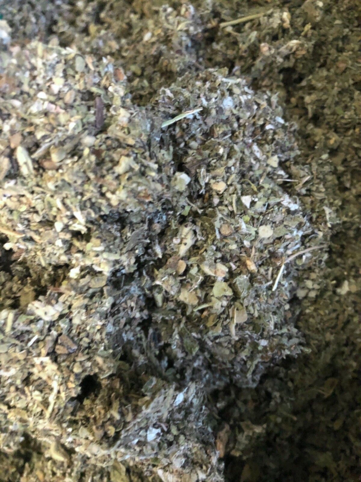 Marshmallow + Mullein + Raspberry Leaf – Quality Organic Herb Tea Mix – 1/2 LB