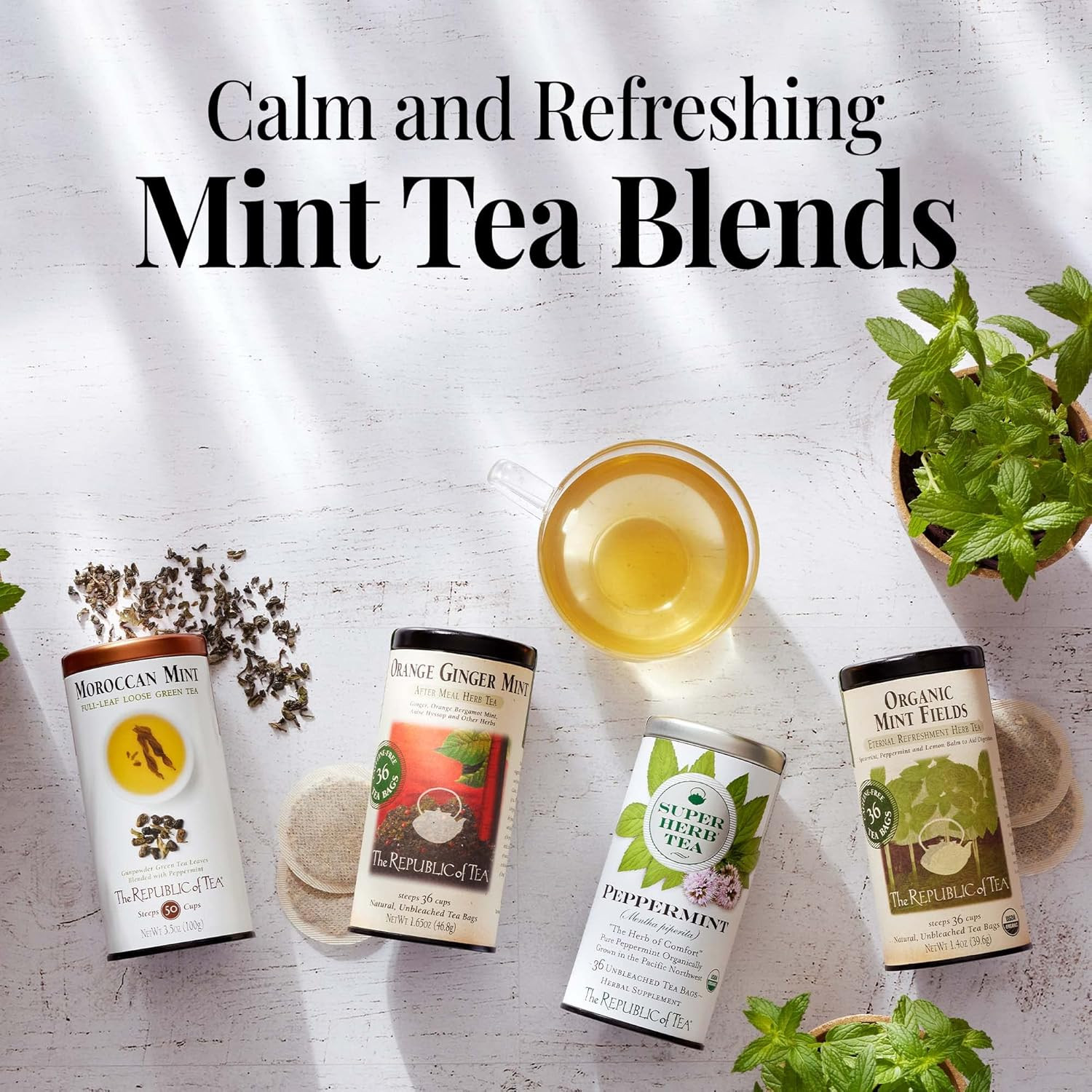 The Republic of Tea – Orange Ginger Mint Herbal Tea, 36 Tea Bag, Tin | Caffeine-