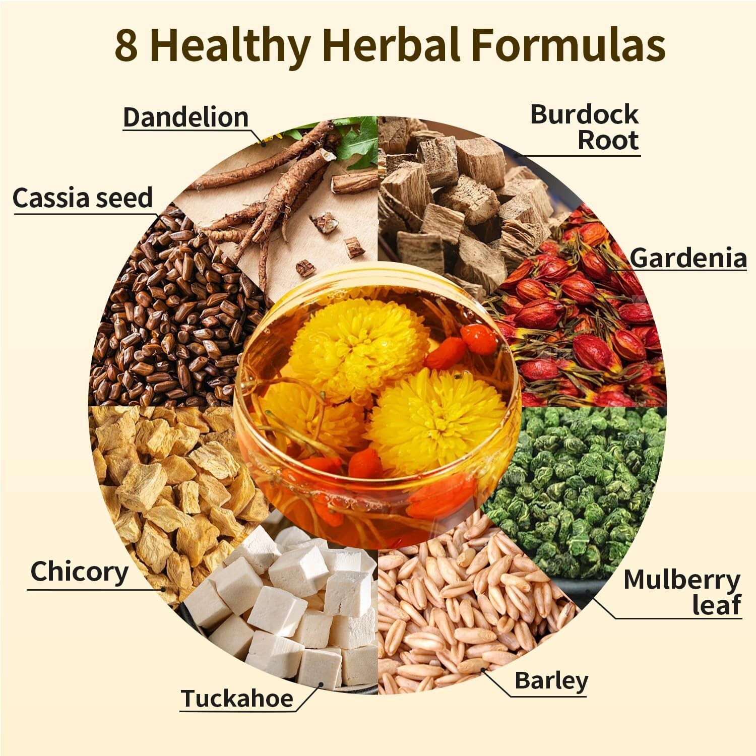 ZenVitality Chicory And Gardenia Tea Bags Kidney and Liver Tea chicory root C…