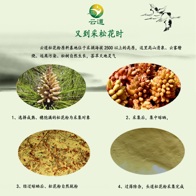 Yundao China Yunnan Pine Pollen Pcs 100g Cracked Broken Cell Wall