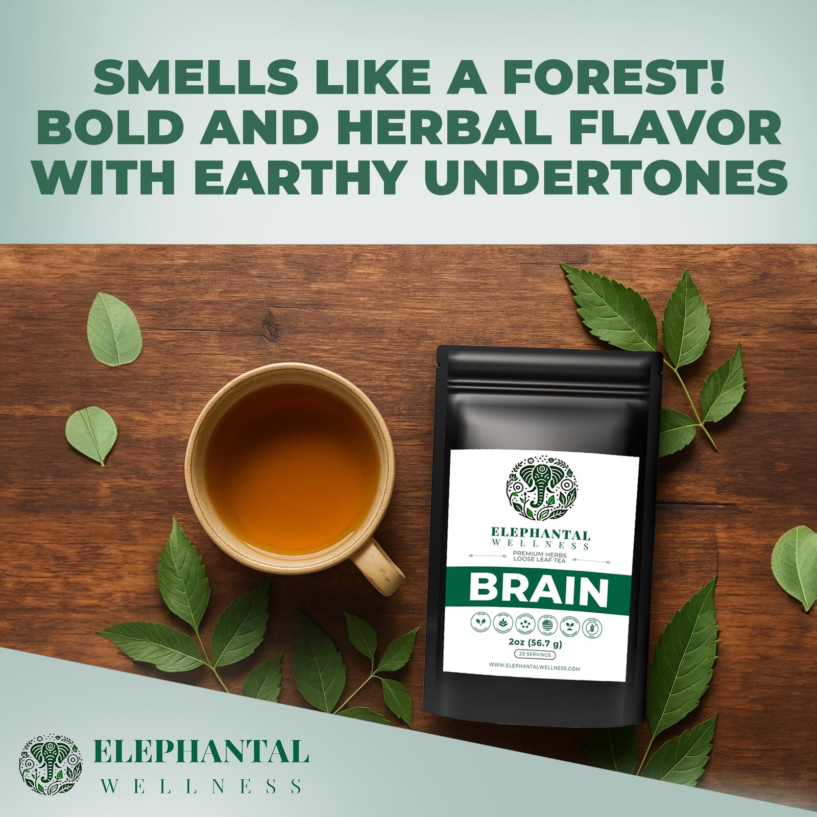 Premium Brain Herbal Tea | Nootropic Focus & Mental Clarity with Ginkgo, Baco…