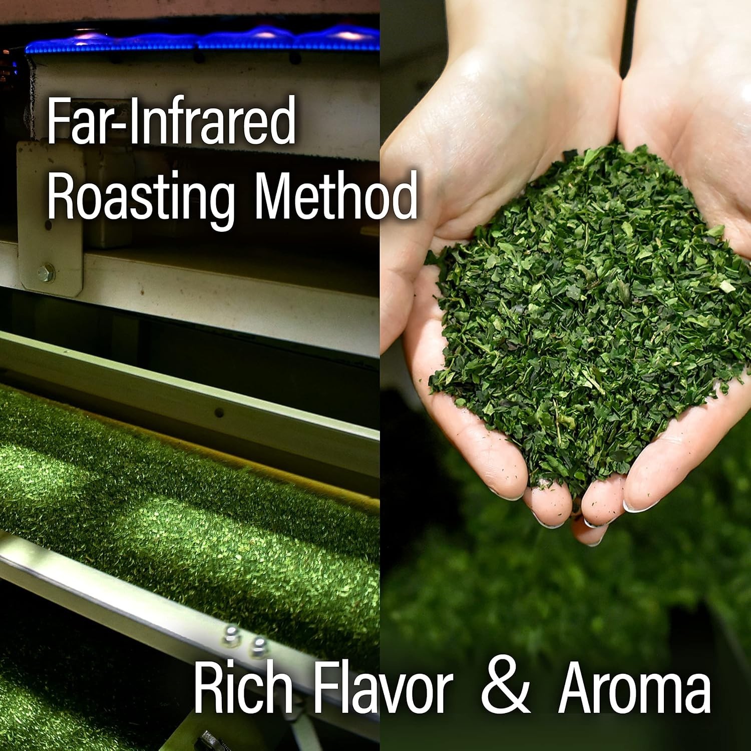 Authentic Japanese Sencha Green Tea Steamed Aromatic