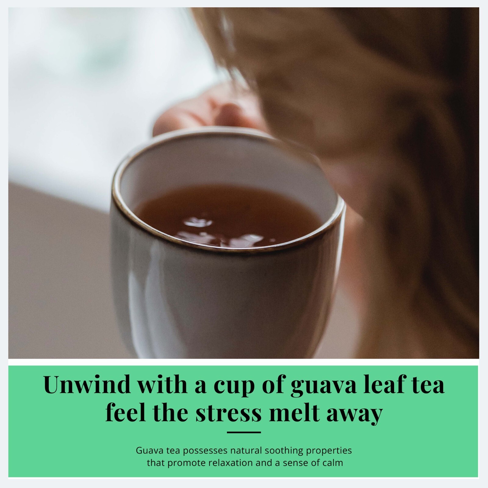 Organico Te Guayaba, Dried Guava Leaves, Hoja De Guayaba, Weight loss Tea 75Bags