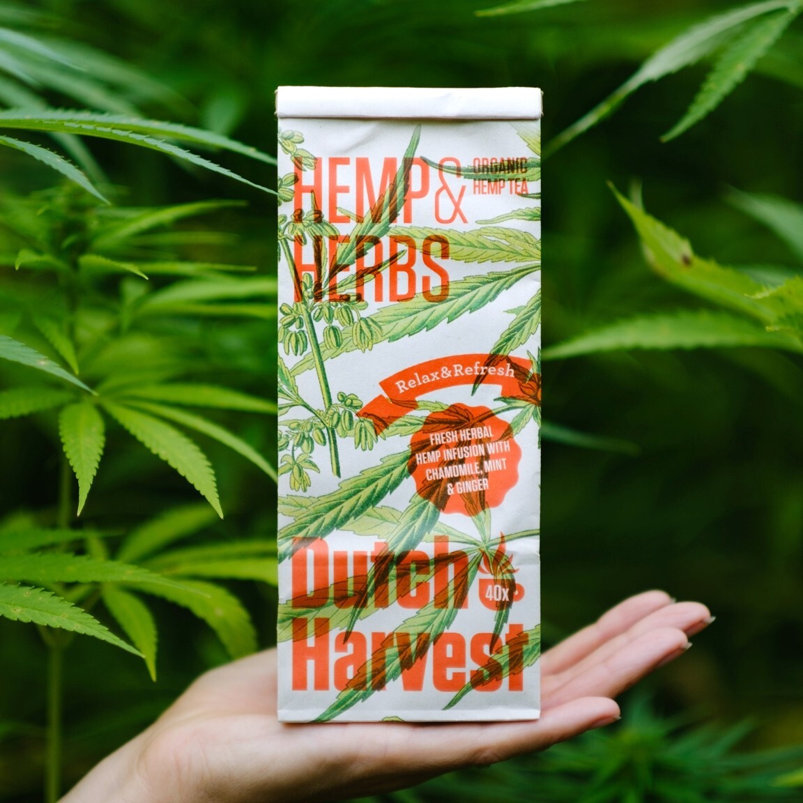 Dutch Harvest – HEMP & HERB – A relaxing and refreshing herbal blend – Organic 
