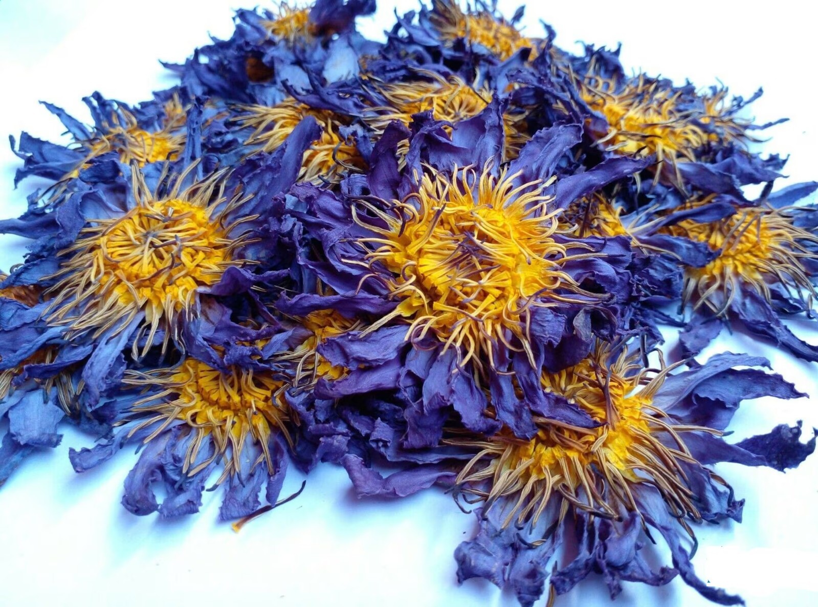 Ceylon Dried Blue Lotus Nymphaea Caerulea Herbal Flower Natural Organic Tea 50g