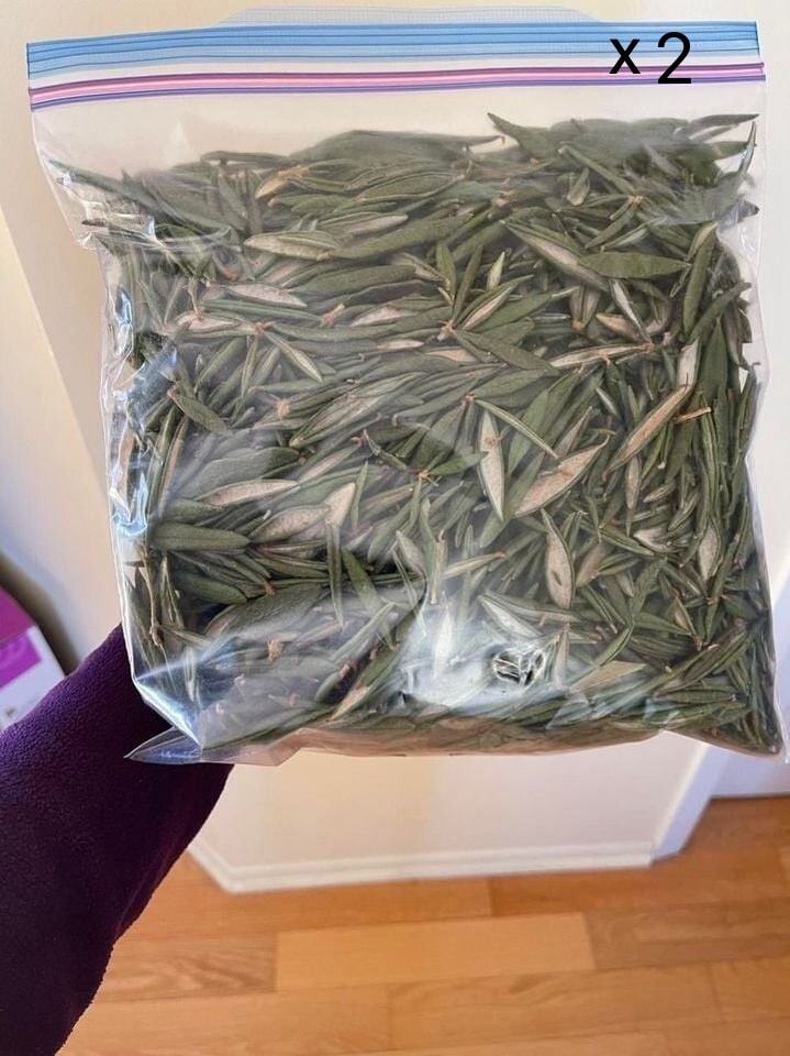 Labrador Tea, All Natural from Quebec, Canada, 2 bag of 100 gram (Total 200gr)