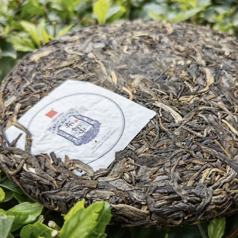 357g Authentic Brown Mountain Wuzhai Touchun Ancient Tree Pu’er Tea Raw Tea Cake