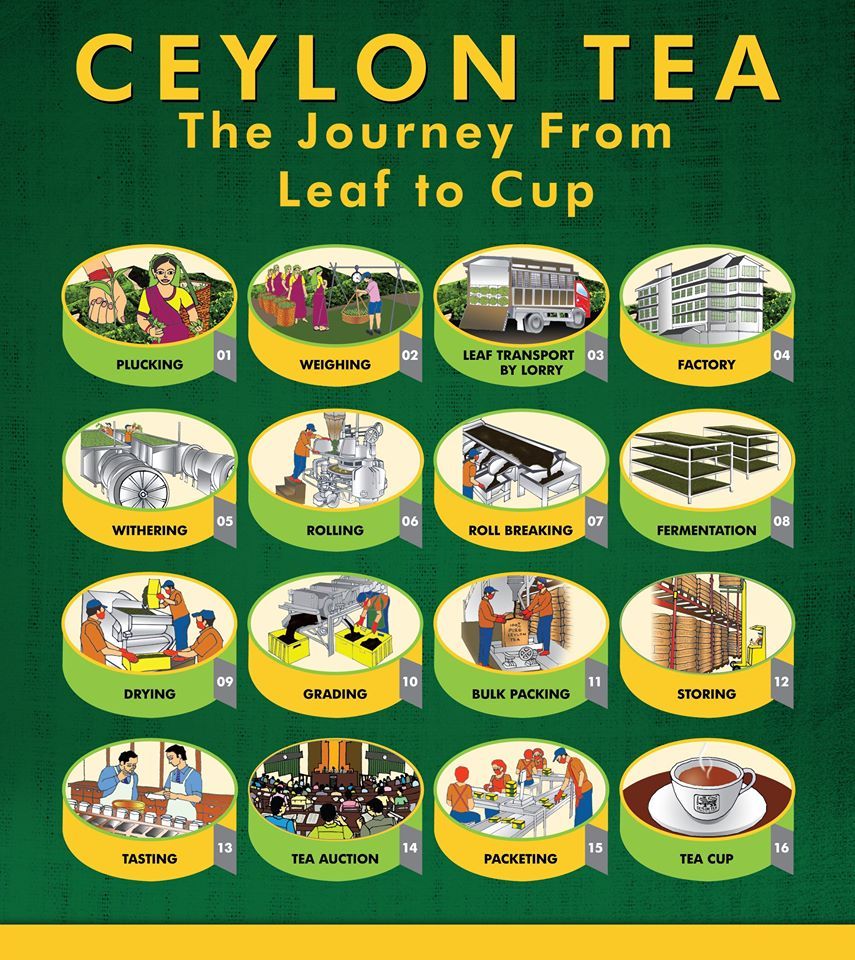 100 Tea Bags Dilmah Premium Quality Ceylon Tea Bags x 04 packs