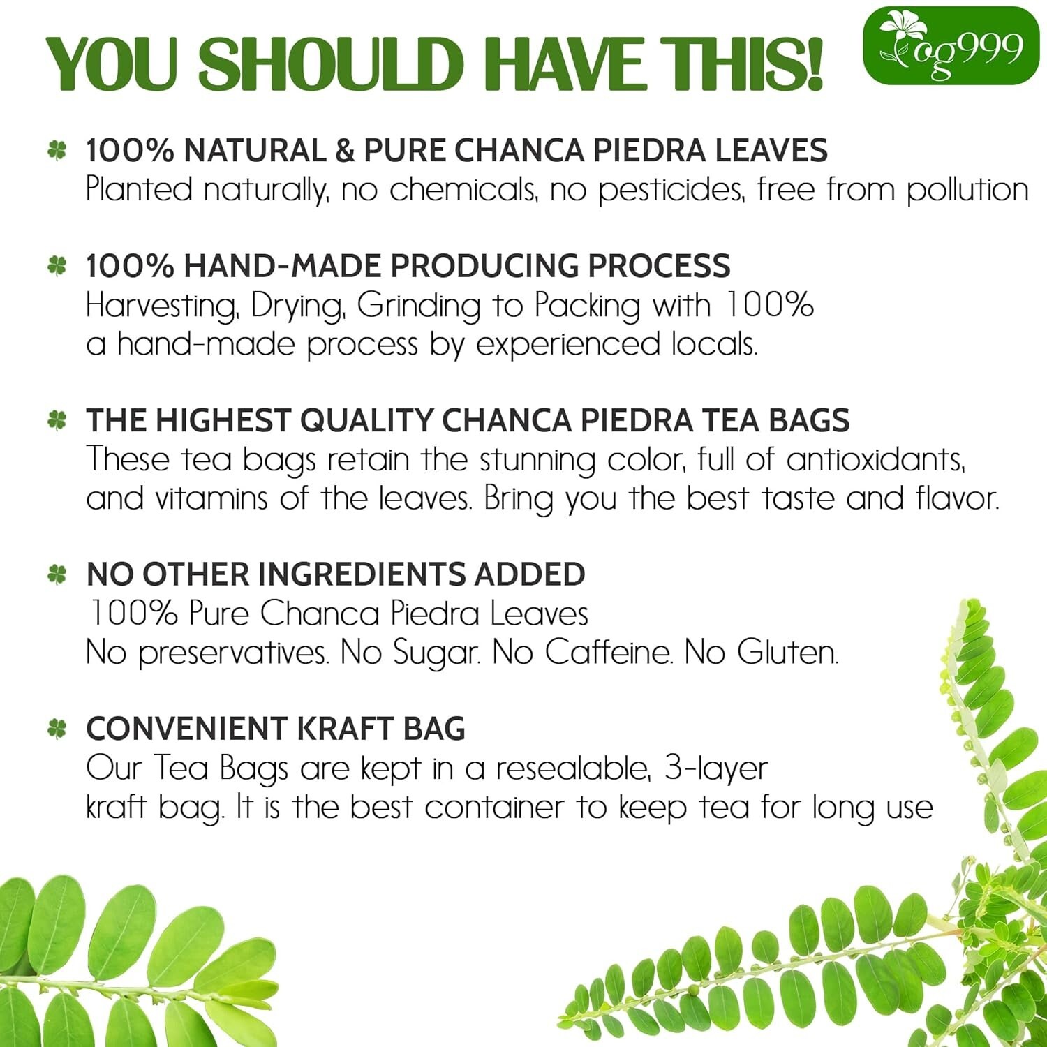 Convenient Chanca Piedra Tea Bags – 120 Count Natural Remedy for Busy Lifestyles