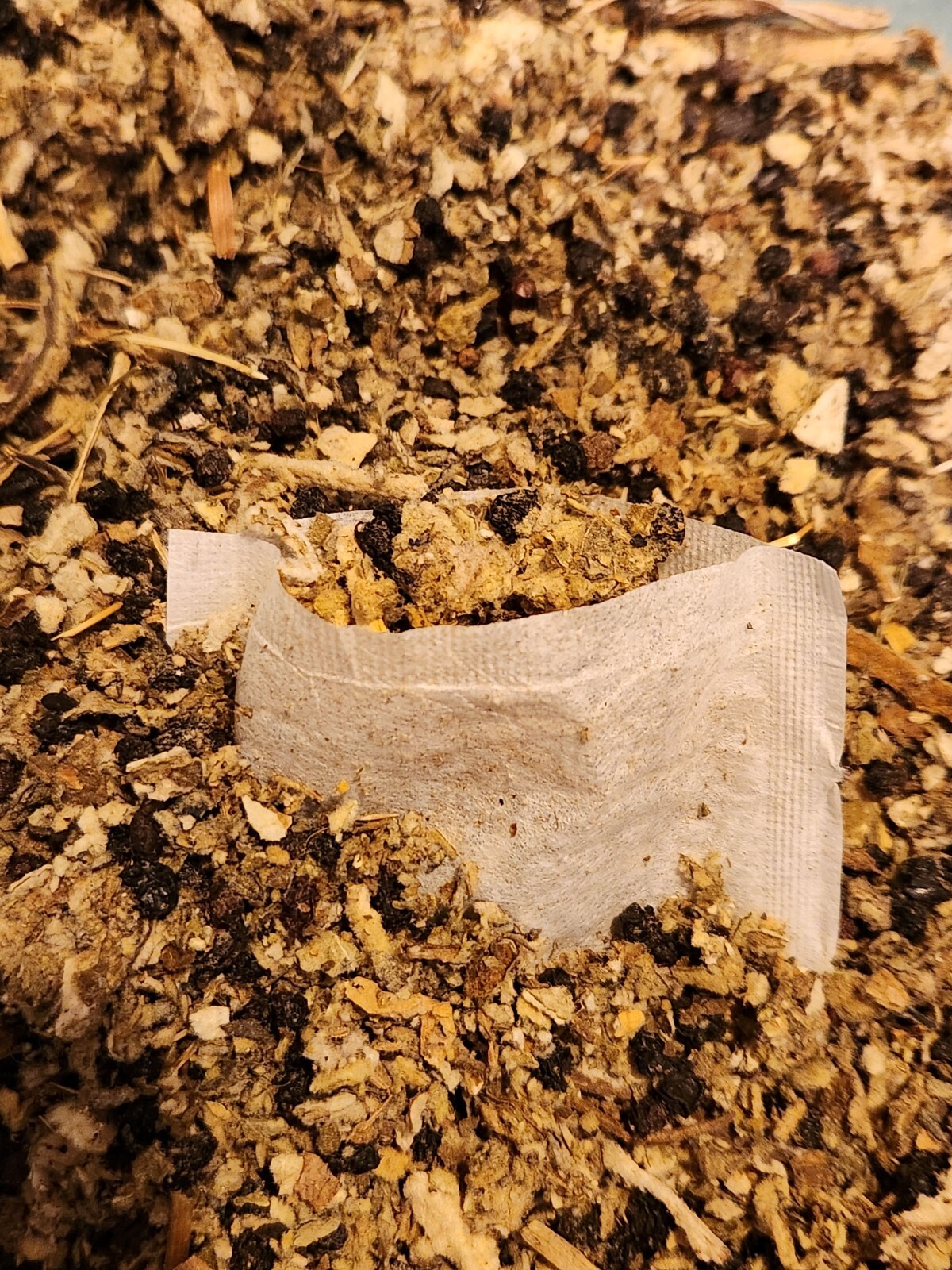 Mullein Leaf Elderberry Blend Tea Bags – All Natural Wildcrafted
