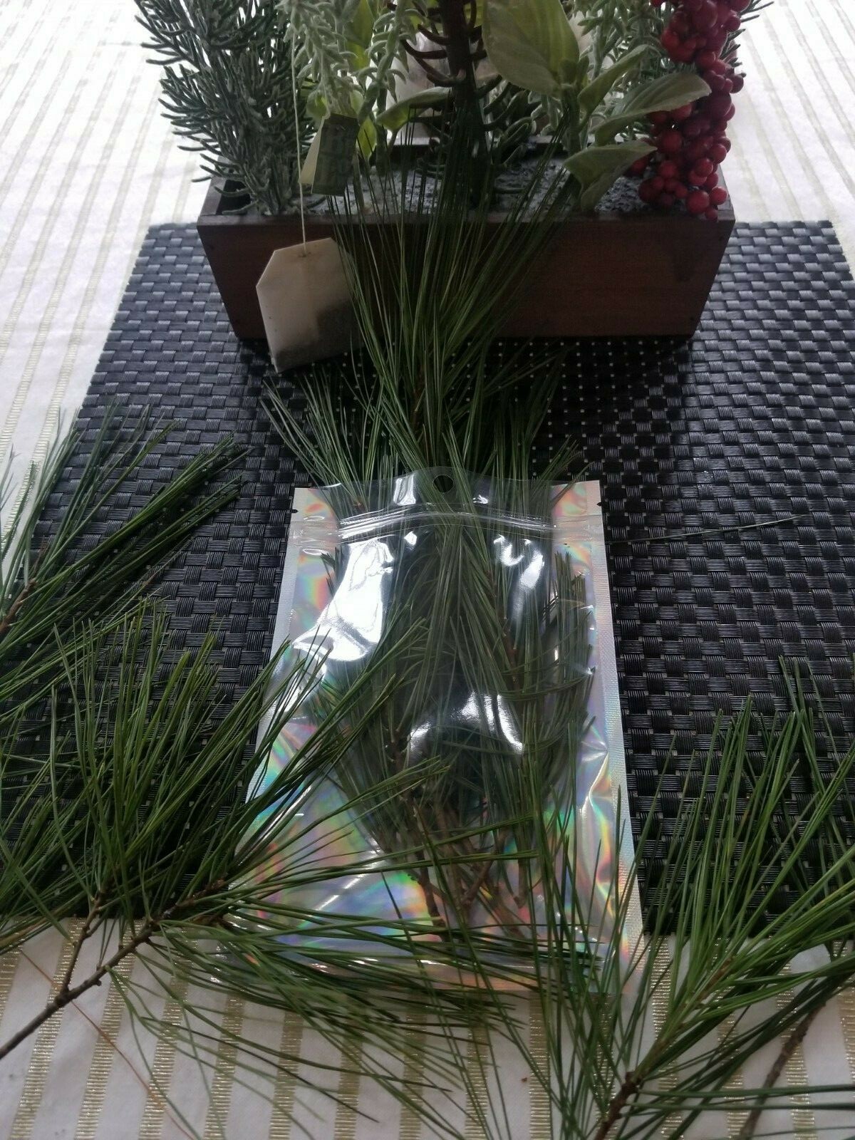 Eastern Pine Tree Tea 🍵 Immunity Boosting /Actively Fights against Infections/