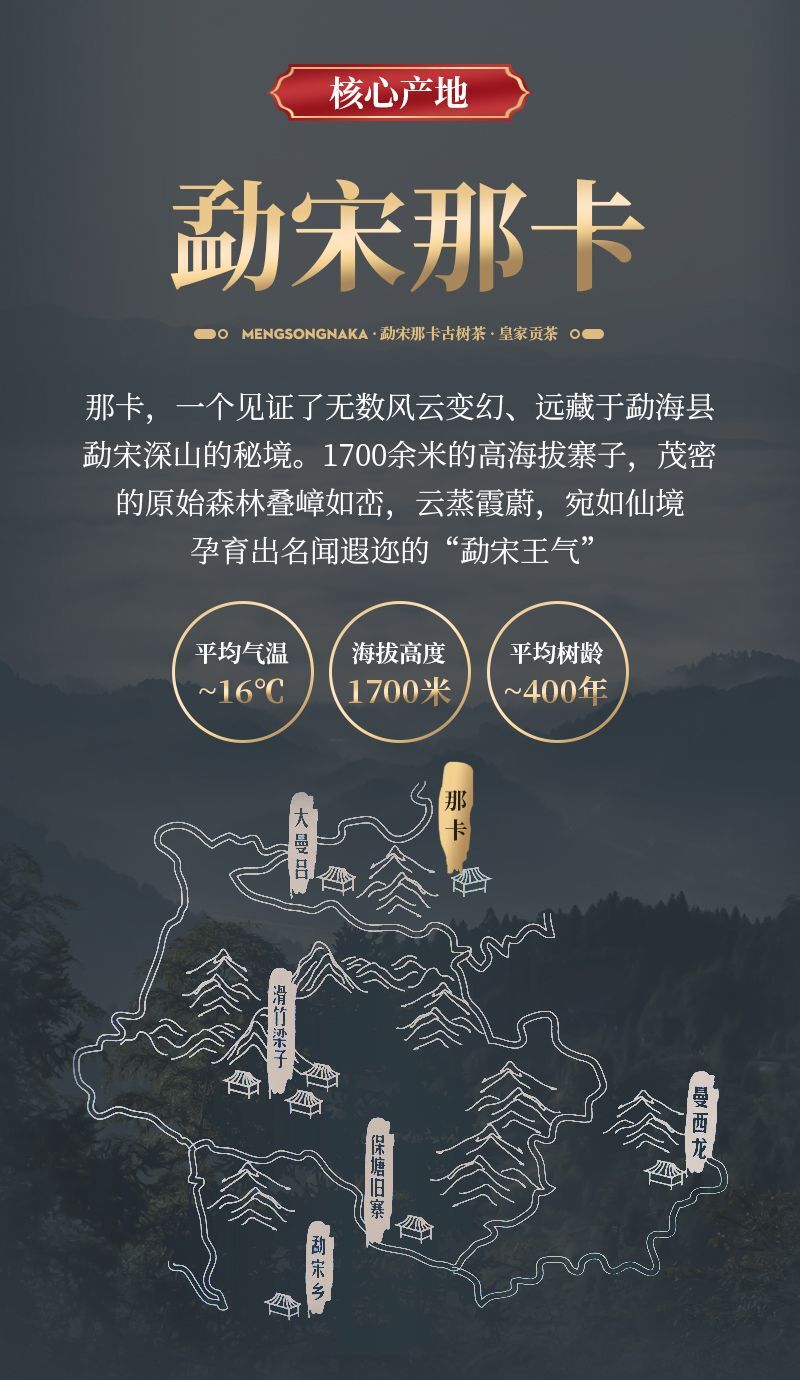2020 Yunnan Mengsong Na Ka Ancient Tree Naka Pu’er Pu-erh Raw Tea Cake Puer 357g