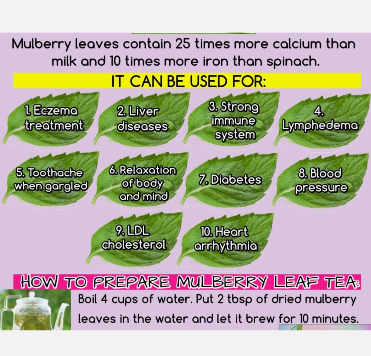 Dried Mulberry Leaf Tea – 20 Grams – 20 Servings
