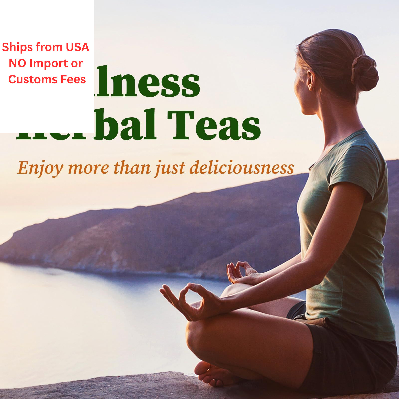 FullChea – Ginkgo Biloba Tea Bags, 36 Teabags – Premium 36 Count (Pack of 1)