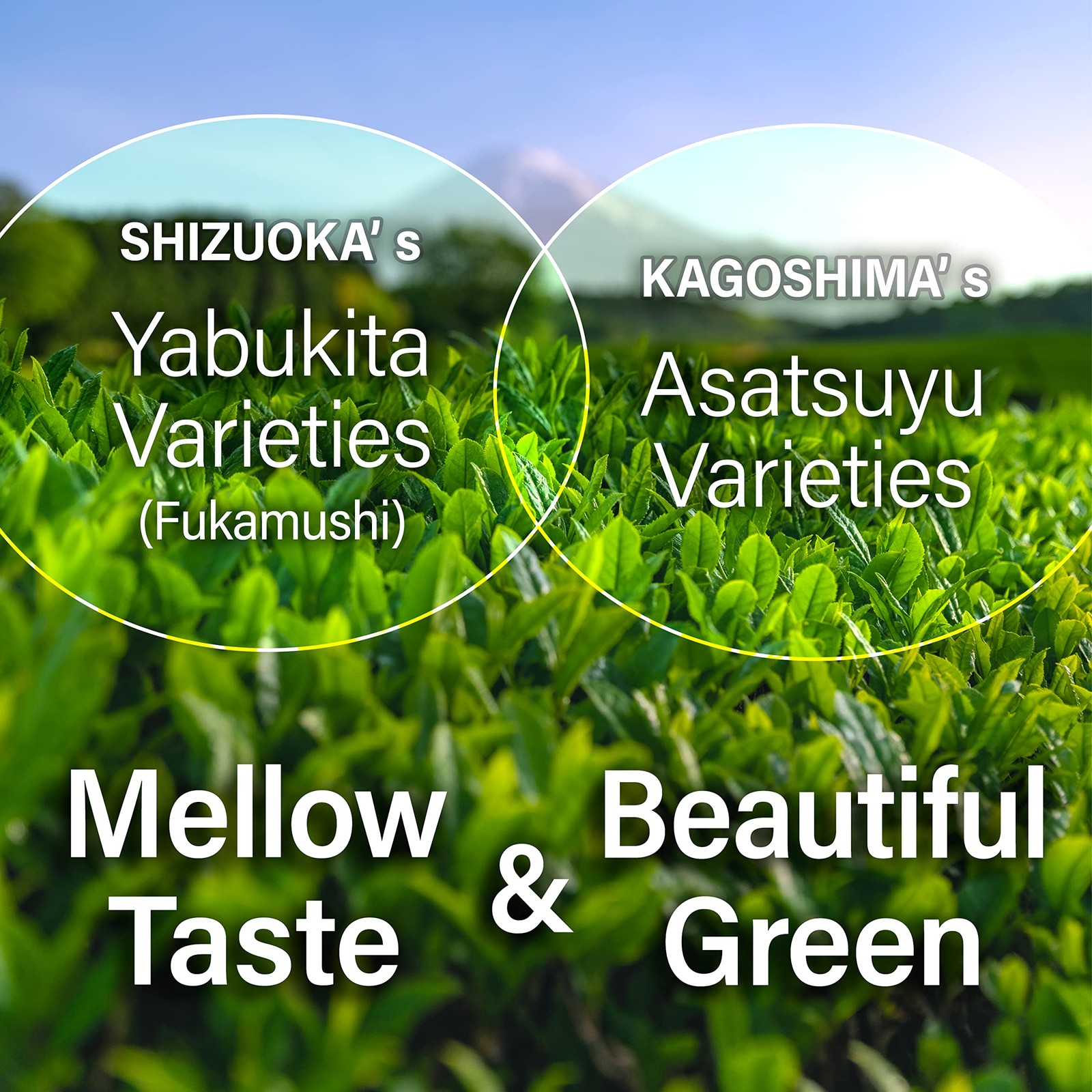 Chaganju Sakura Floral Green Tea Japanese Loose Leaf With Sakura Petals, 2.8…