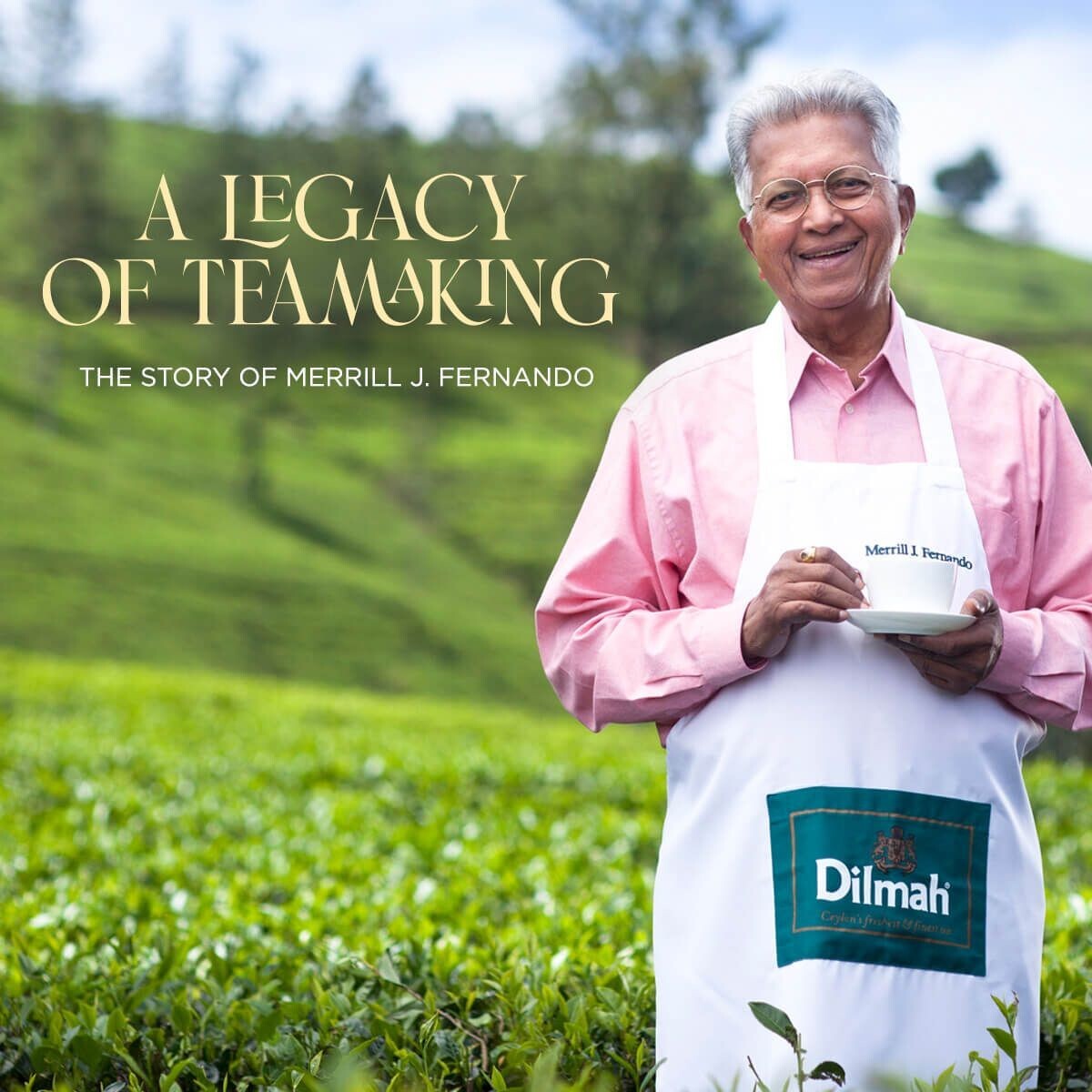 Premium Ceylon Black Tea 10 / 20 / 25 / 50 / 100 / 200 Tea Bags With Tag