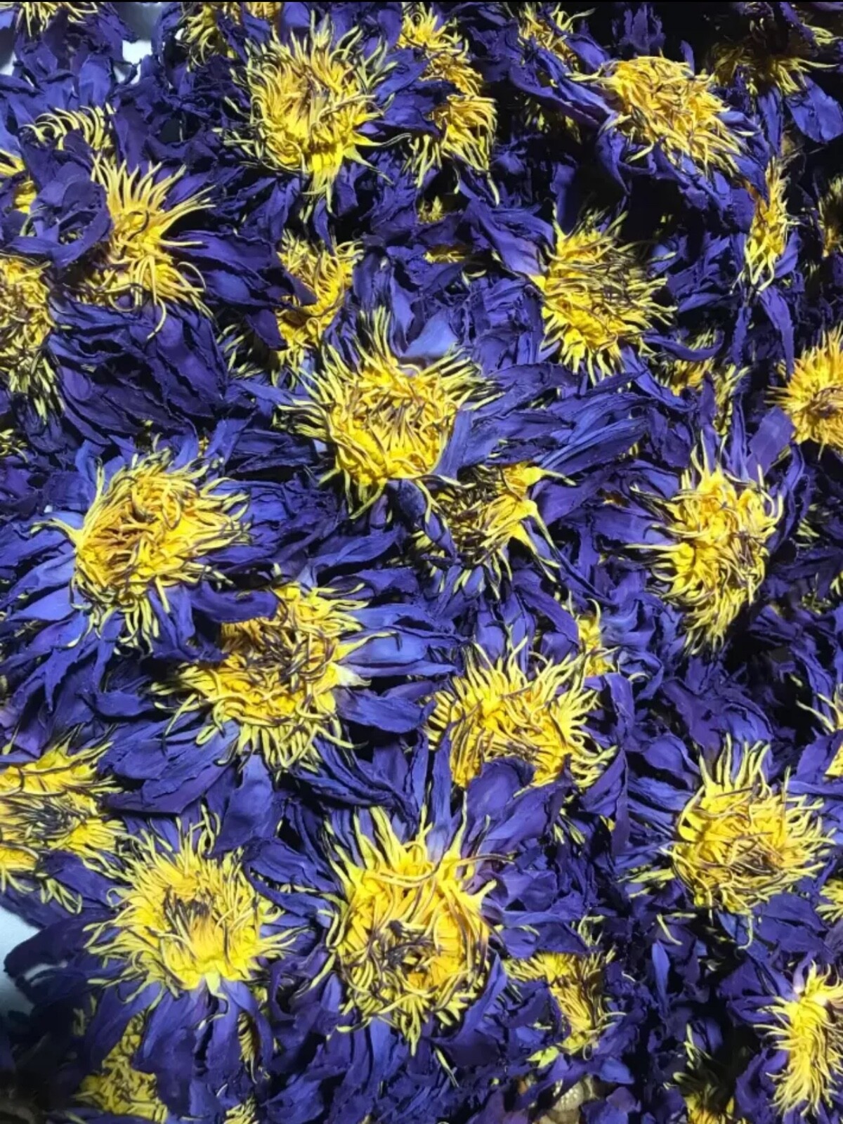 Organic Natural BLUE LOTUS Nymphaea Caerulea Dried Flower 100%Harbal tea / Smoke