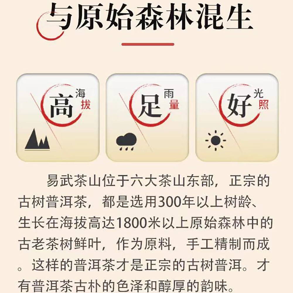 Pu-erh tea,2016, SHENG JIA YUAN,易武 Yi Wu,357g,cooked