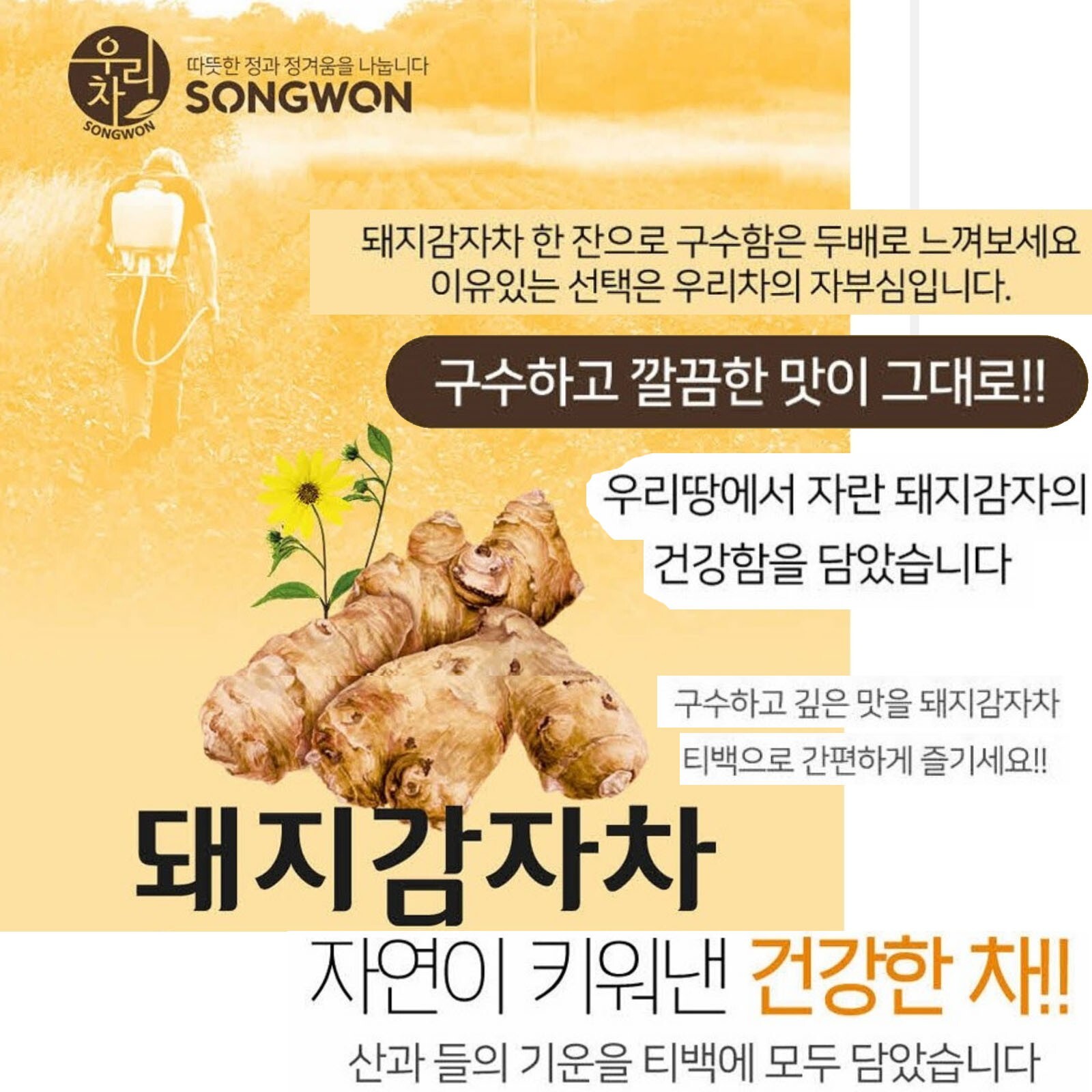 Korean Songwon Sunroot Tea 100 Tea bag Free Shipping wt Tracking