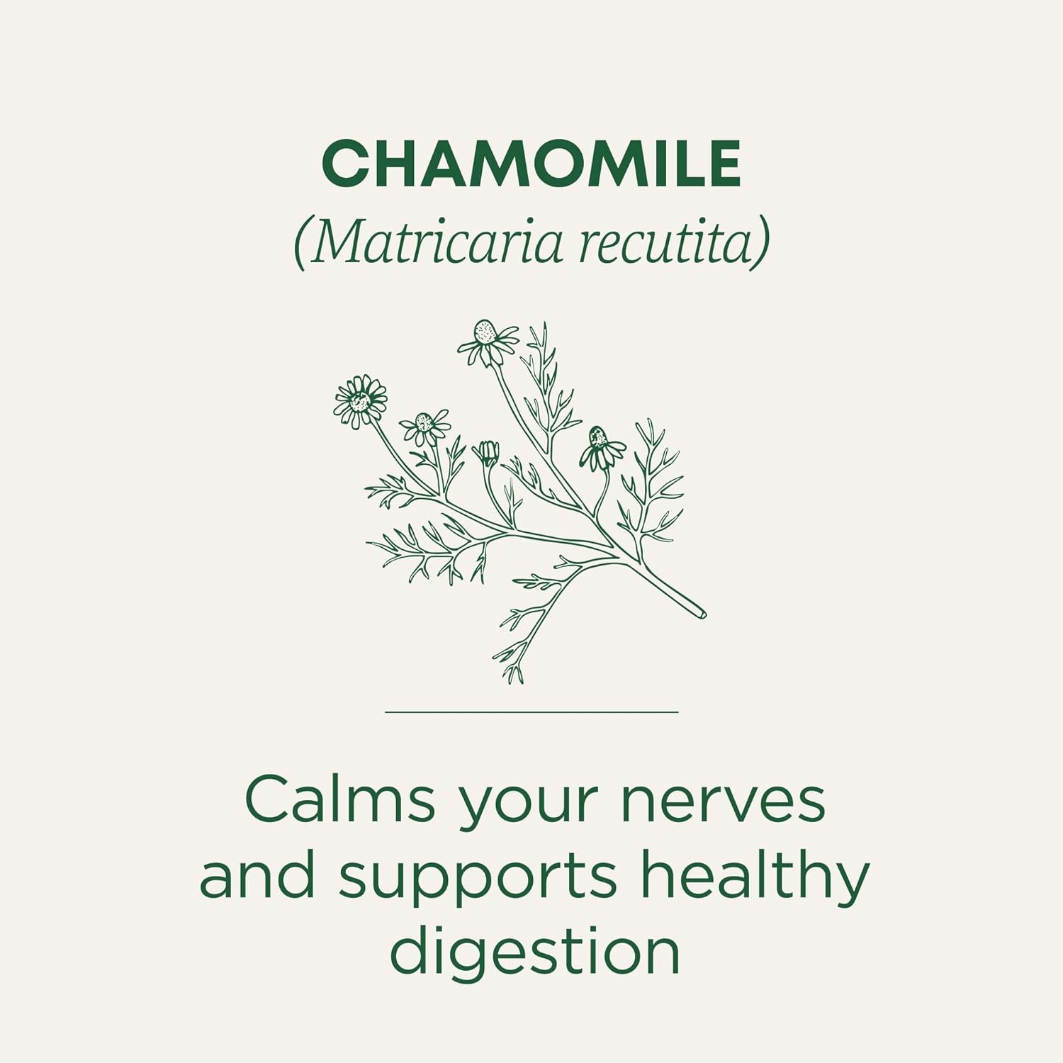 Traditional Medicinals Organic, Chamomile Tea – Supports Stress Relief and Relax