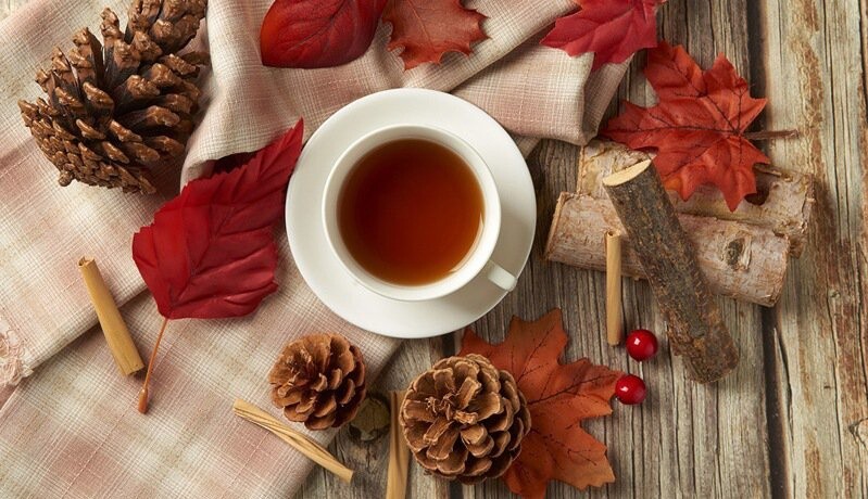 天仁茗茶 Ten Ren Tea Sun Moon Lake Red Jade Black Tea (TTES NO. 18) 80g/ Tin 日月潭紅玉紅茶