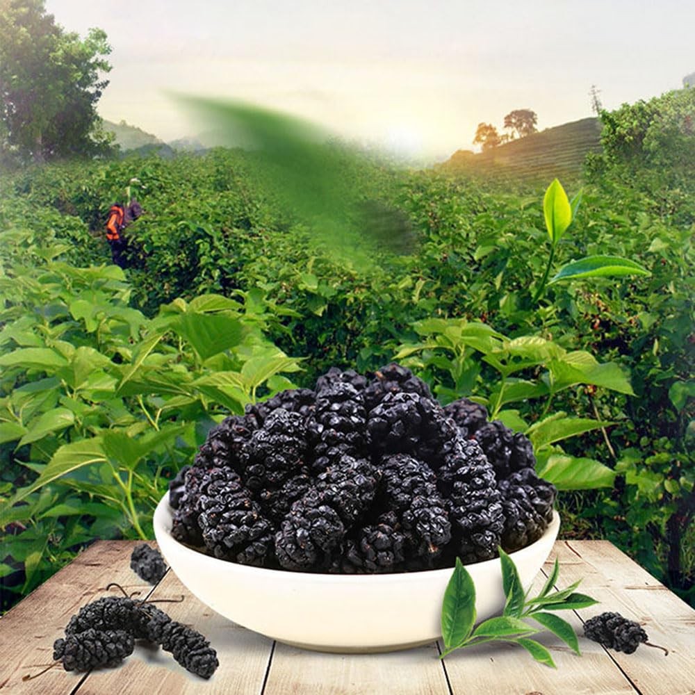 Dried Black Mulberries 黑桑葚 12.35Oz(350G) Fruit Tea Sun-Dried Mulberries
