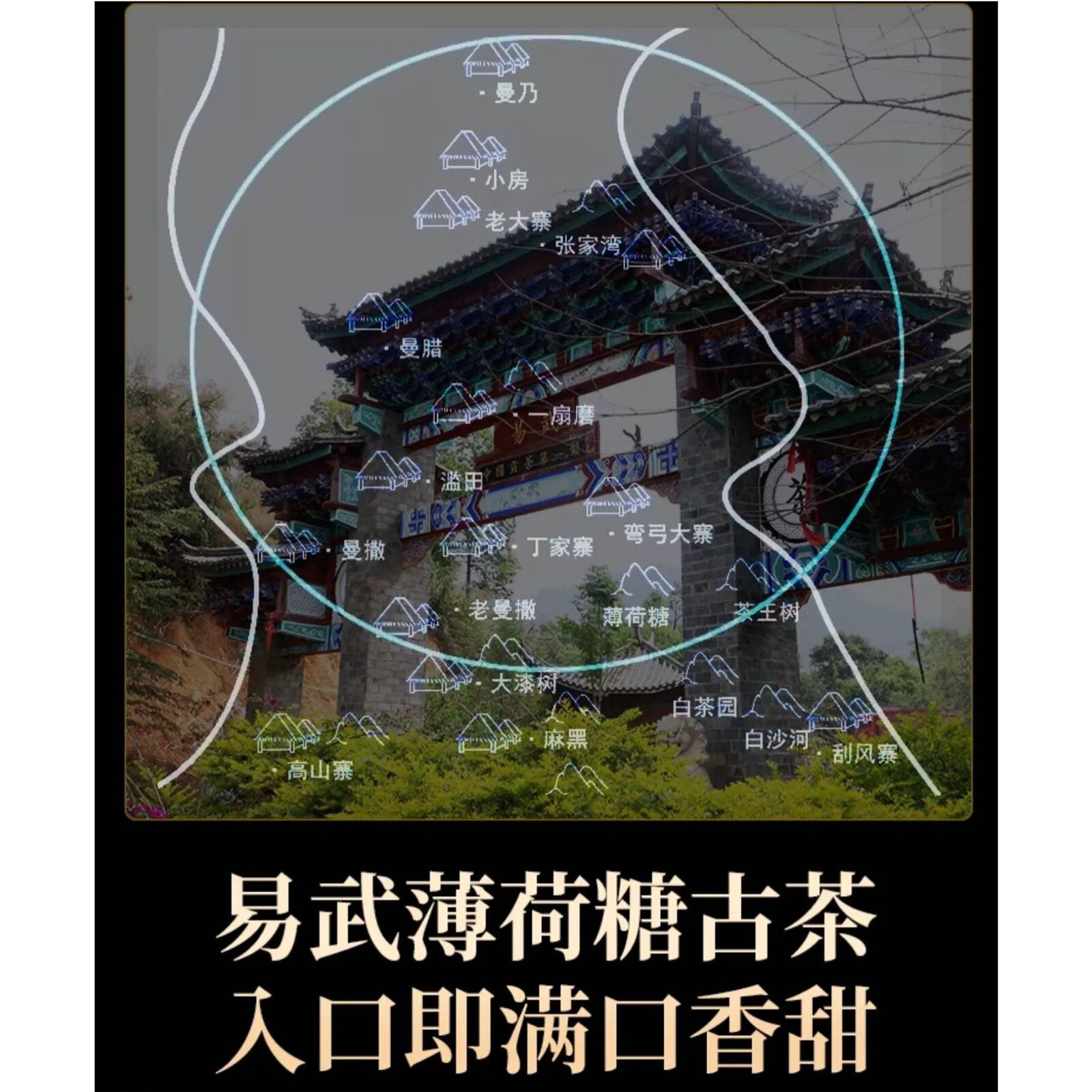 易武薄荷糖,單株,2012y,生茶,357g
