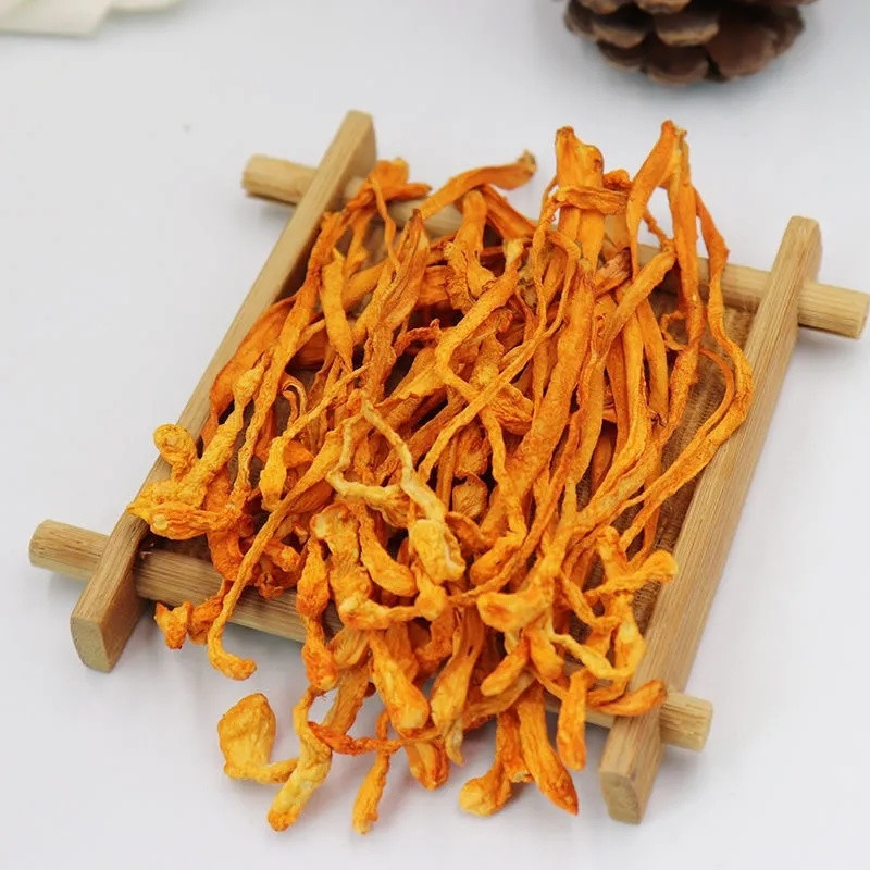 250g/8.8oz Sinensis Dried Mushroom Tradition Organic Cordyceps