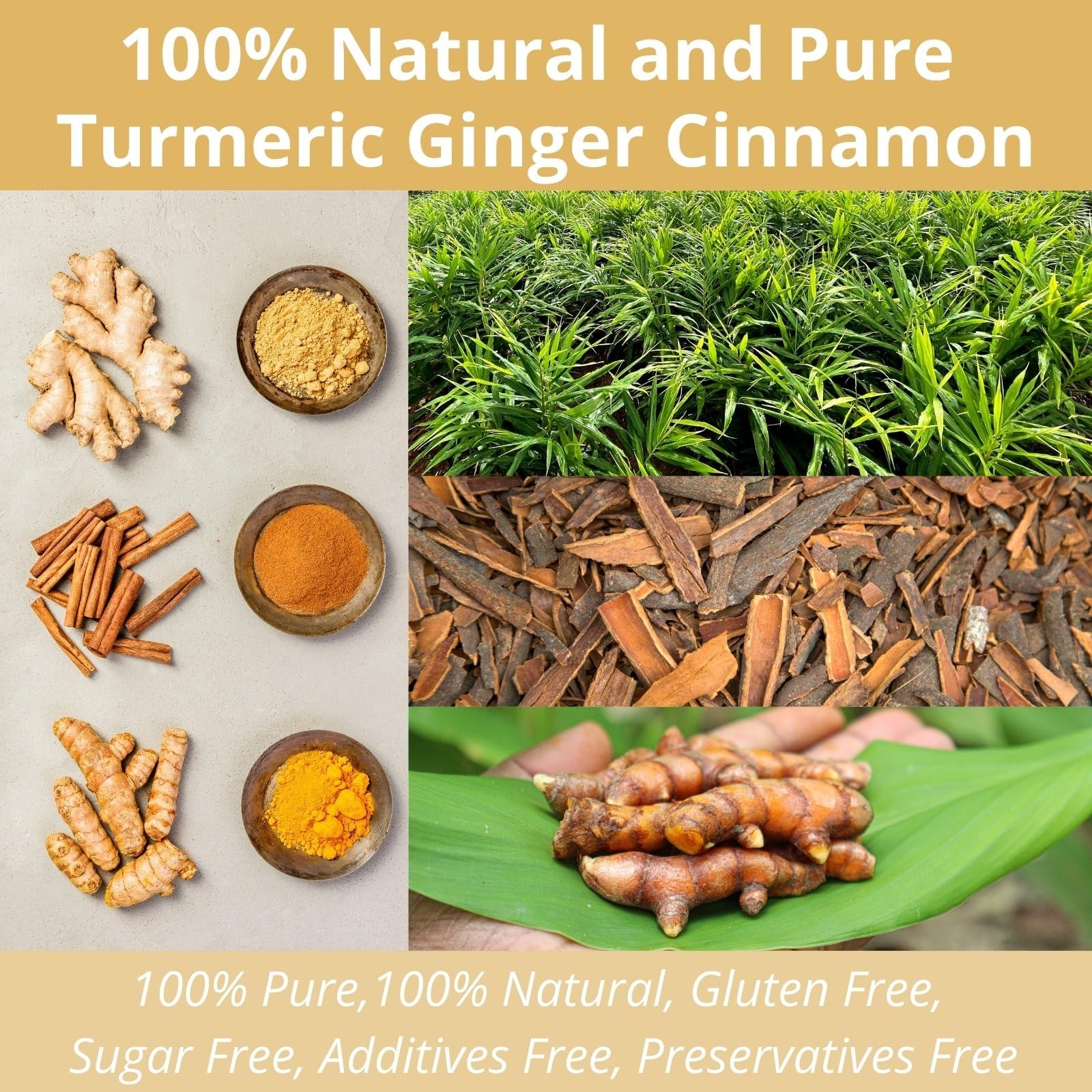 50 Premium Turmeric Ginger Cinnamon Tea Bags| Vitalforest Natural
