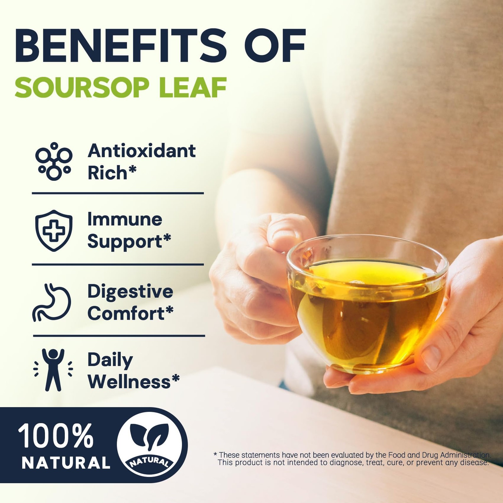 Soursop Graviola Leaf Tea Bags – Caffeine & Sugar Free, 20 Teabags