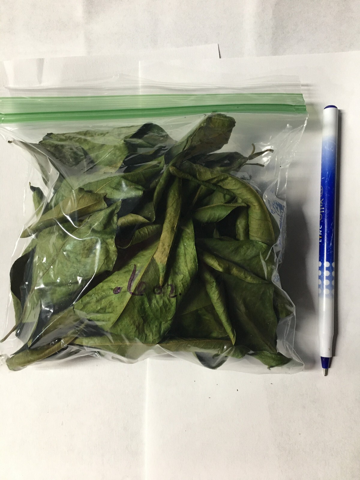 Orange Green Leaves Dried Tea Purple Tangerine Flowers Leaf XinHui Peel Canna