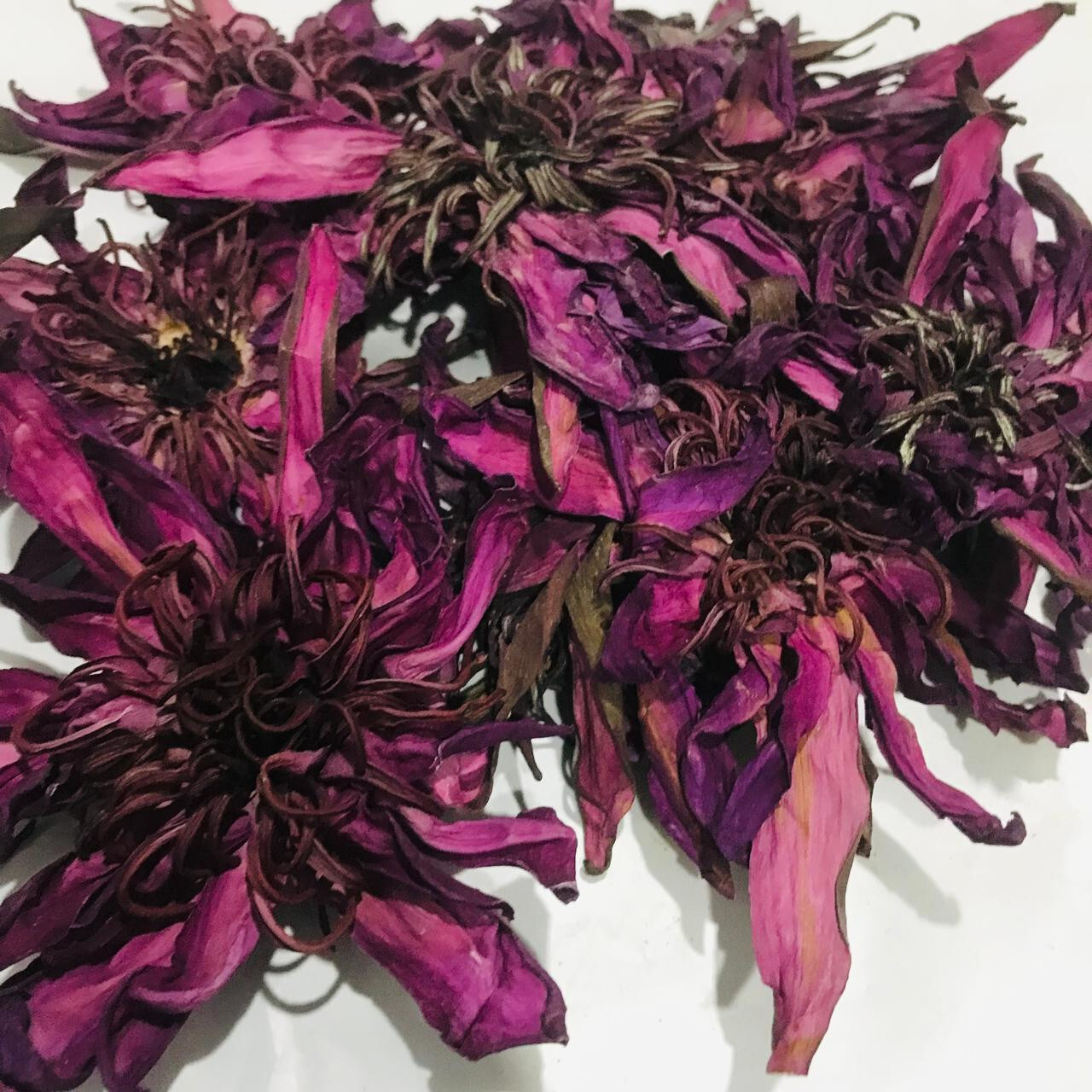 Dried Red Lotus Flower 1kg Nymphaea Rubra 100% Organic Natural Herbal Tea