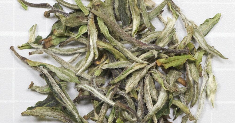 White Peony Tea