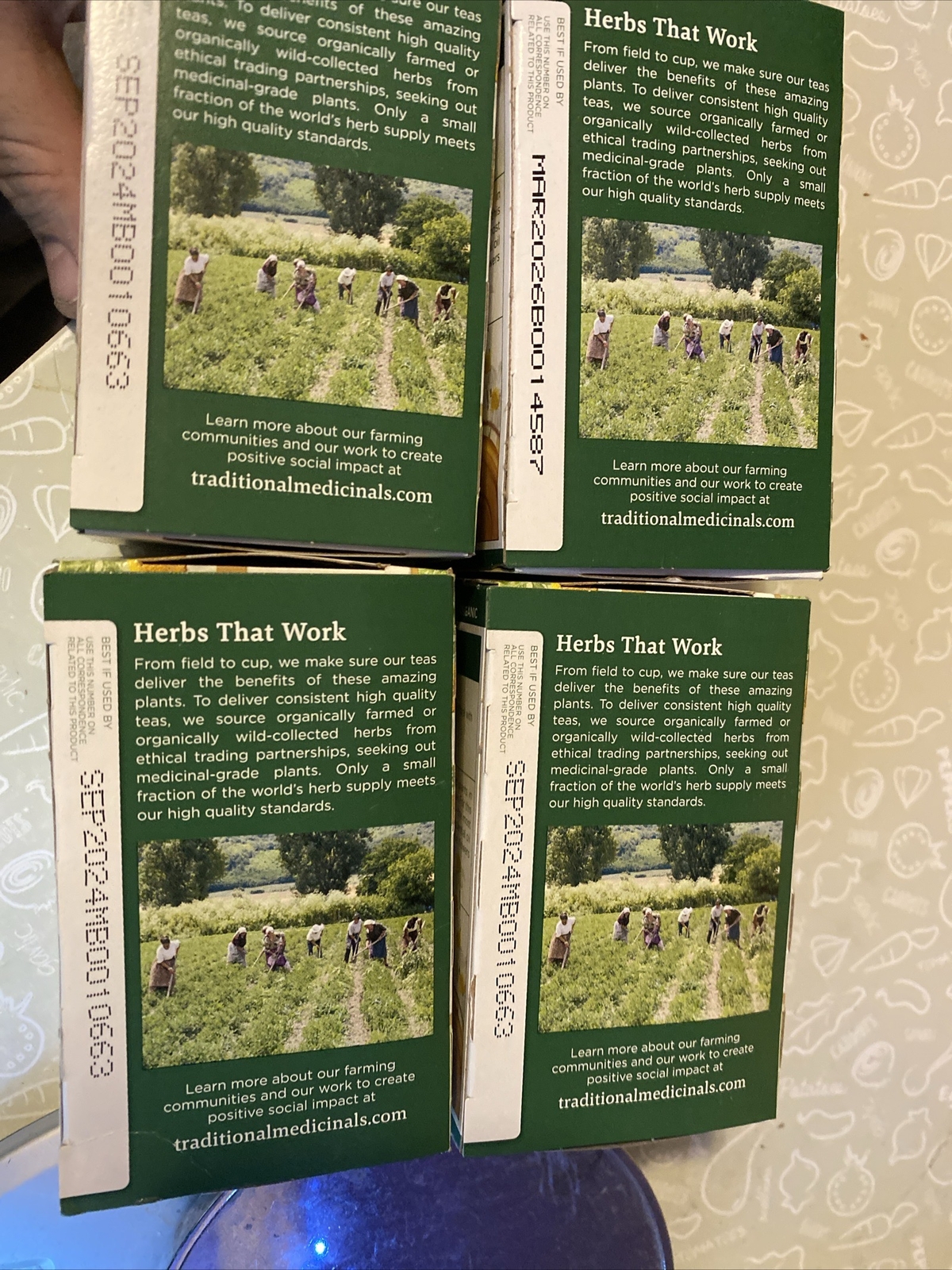 Traditional Medicinals Organic Chamomile Tea, Box of 16 Bags Exp. 9/24, 4 Avail.