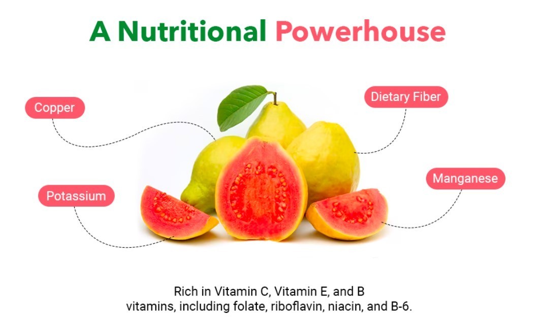 Pink Guava Fruit Powder 1 lbs | Hair Growth, Skin & Nail Health | Unsweetened