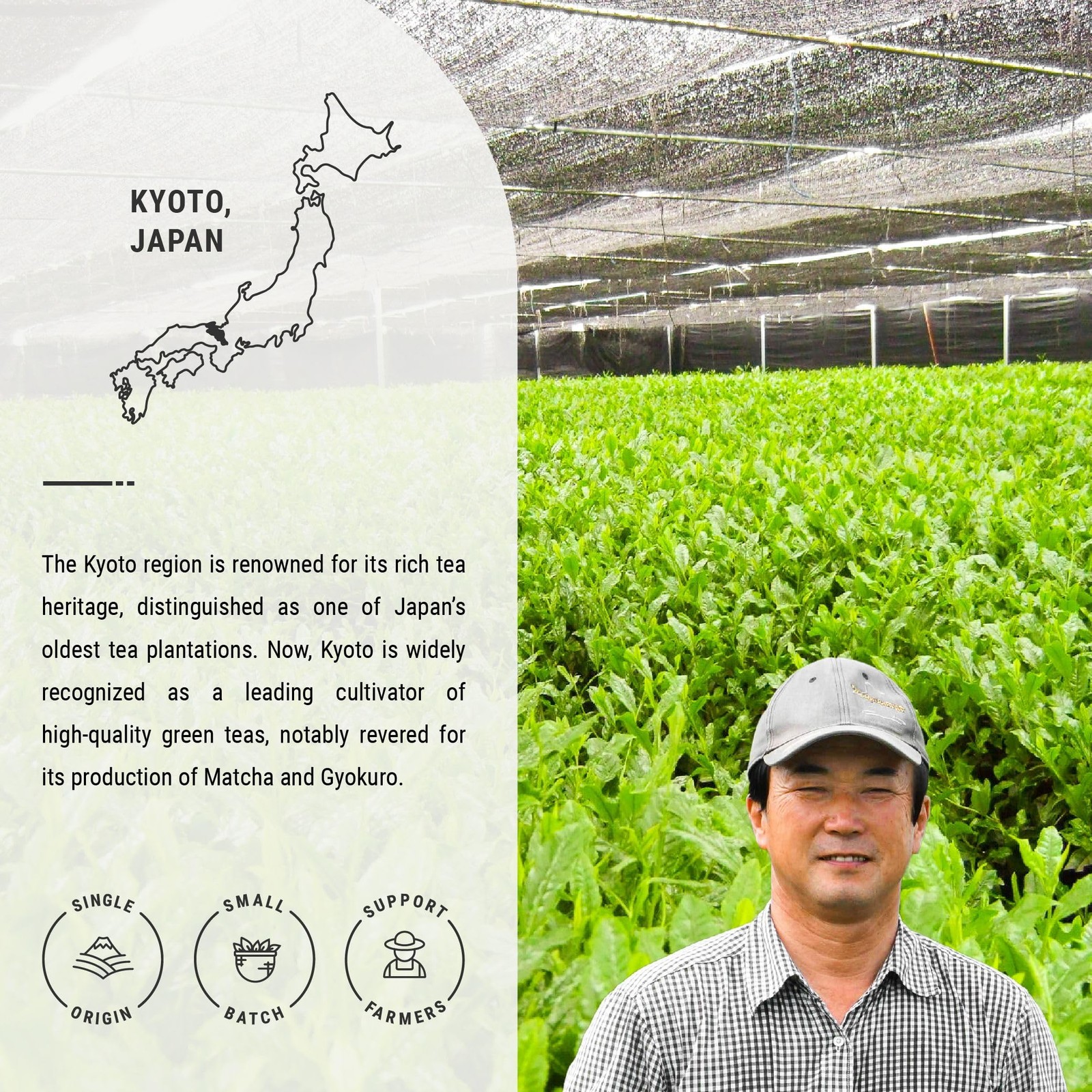 Senbird Premium Ceremonial Matcha Japanese Powdered Green Tea From Kyoto, J…