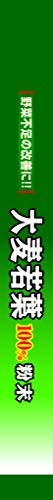 Yamamoto Kanpo Aojiru Barley Young Leaves Green Juice 44 Sticks from Japan N2