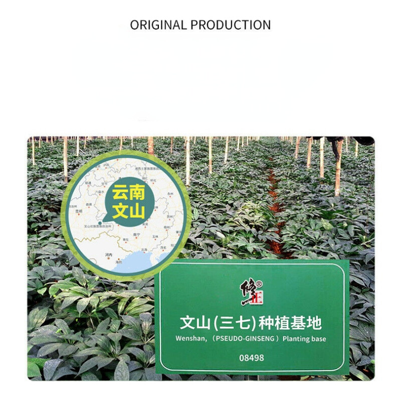 50g China Notoginseng Herbal Tea Xiuzheng Canned Sanqi Powder Powder Health Care
