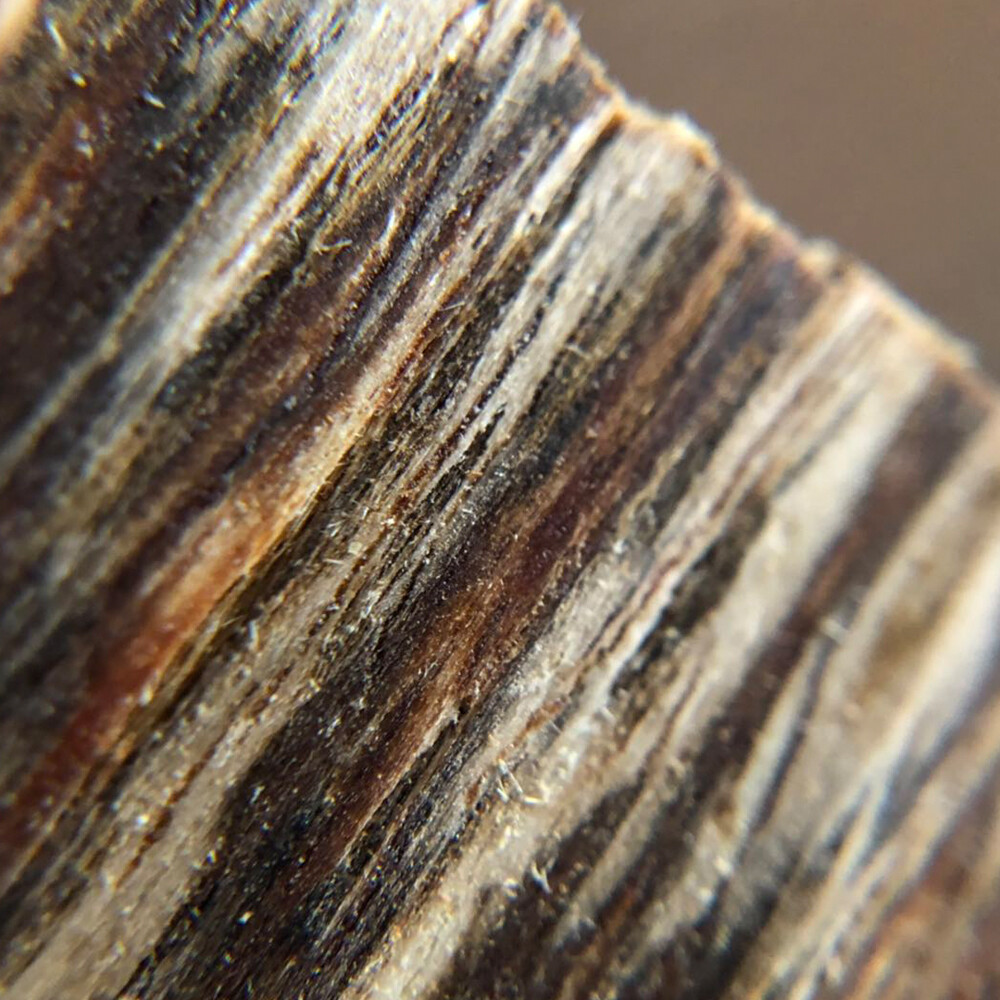 Agarwood Chips Oud Chips | Incense Aroma High Quality Natural Wild And Rare 50g