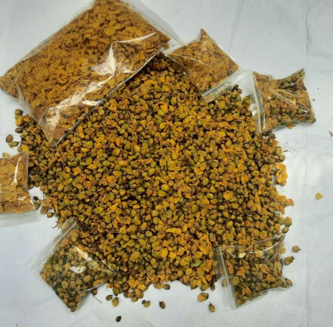 High Quality Organic Natural Sun dried Senna auriculata Ranawara mal Herbal Tea